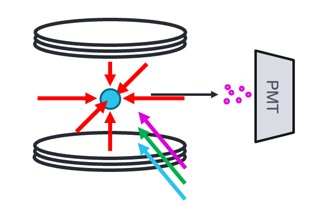 neutral atoms in a magneto-optical trap